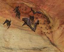 ogbunike bats